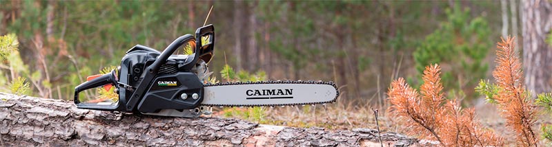 caiman-saw1.jpg