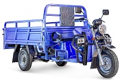   Rutrike   2000